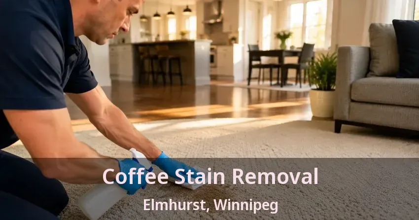 Coffee Stain Removal Elmhurst, Winnipeg - MB