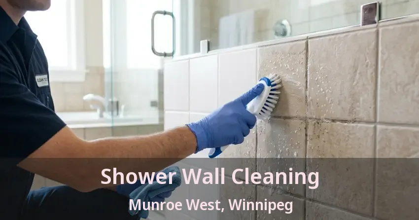 Shower Wall Cleaning Munroe West, Winnipeg - MB