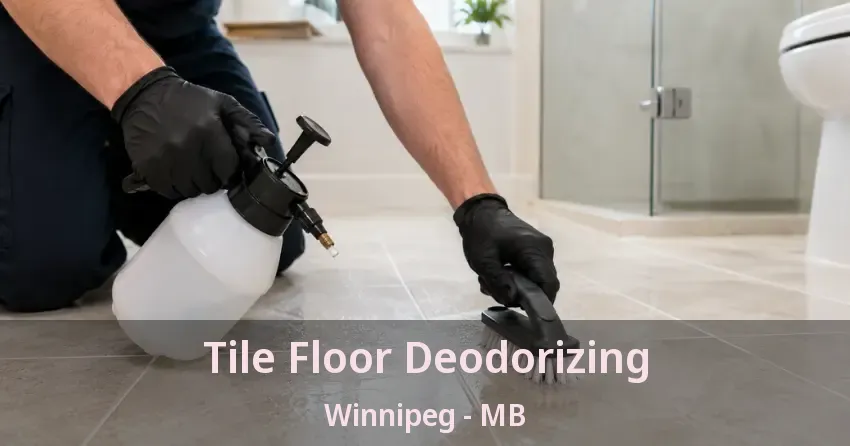 Tile Floor Deodorizing Winnipeg - MB